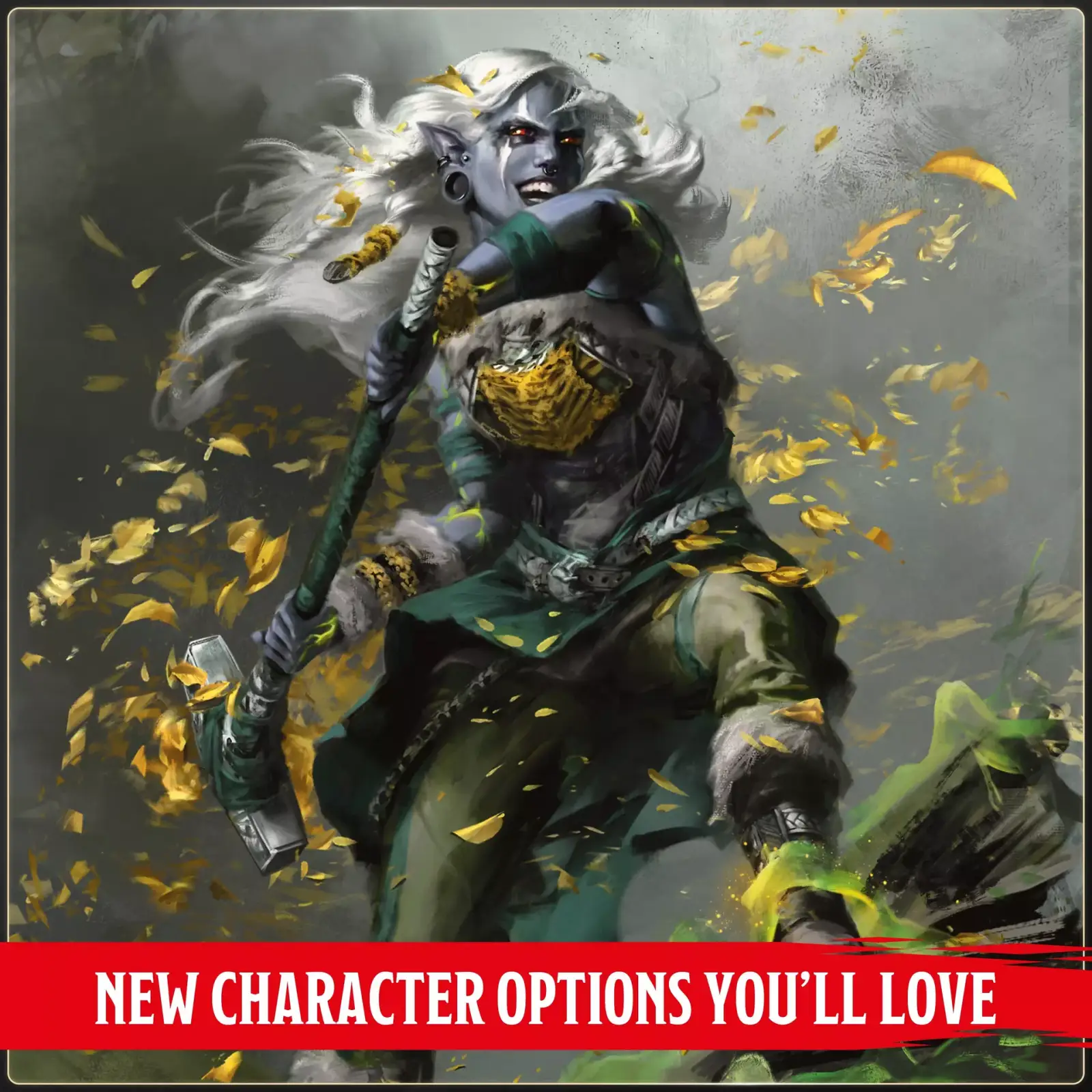 Dungeons & Dragons RPG: 2024 - Players Handbook (EN) - Image 5