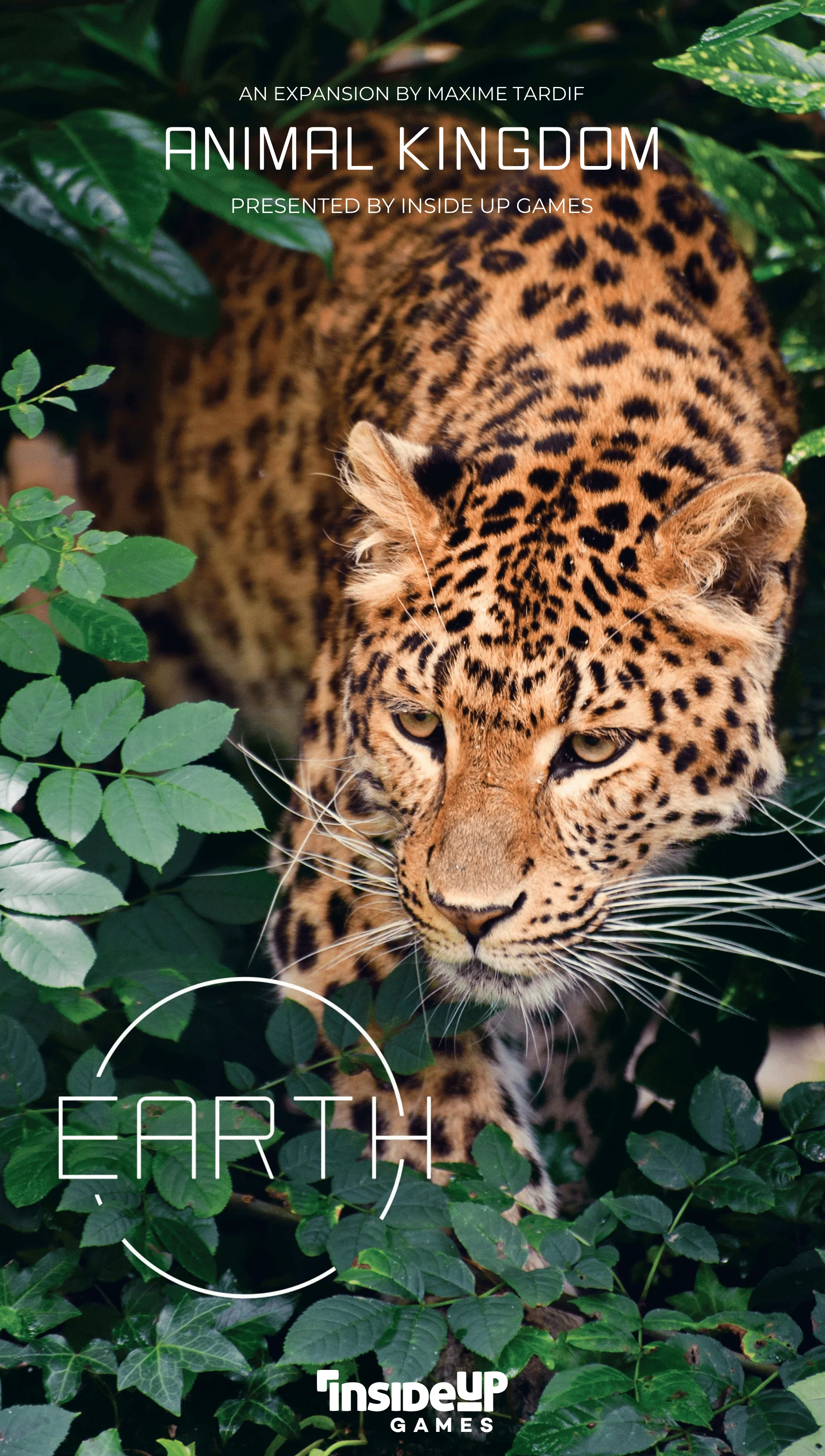 Earth: Animal Kingdom (EN)