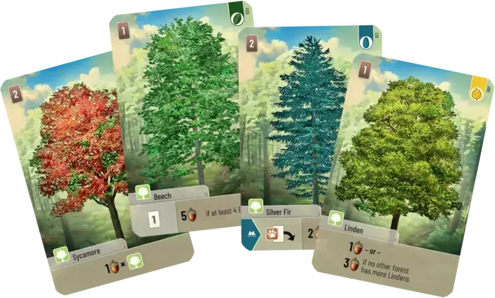 Forest Shuffle (EN) - Image 4