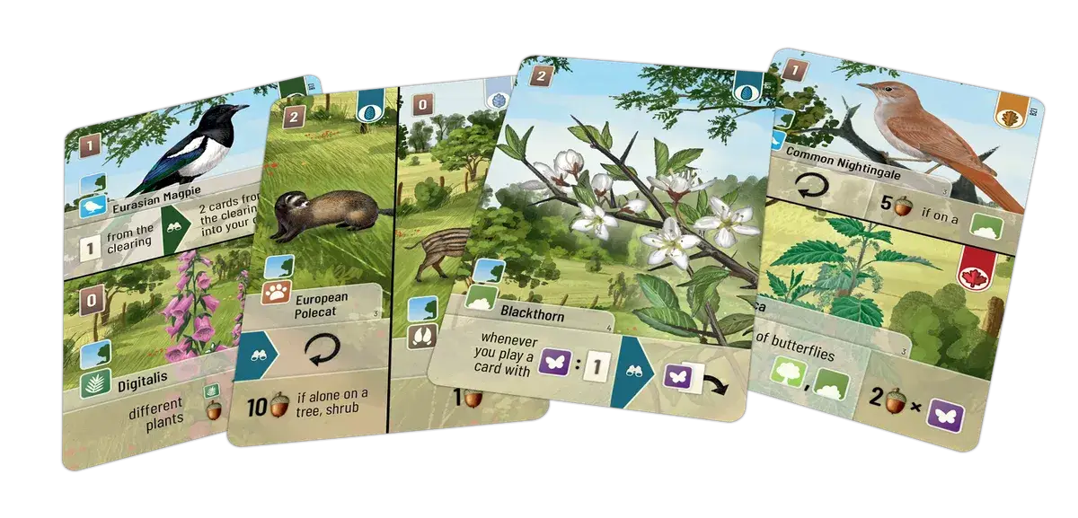 Forest Shuffle: Woodland Edge (EN) - Image 2