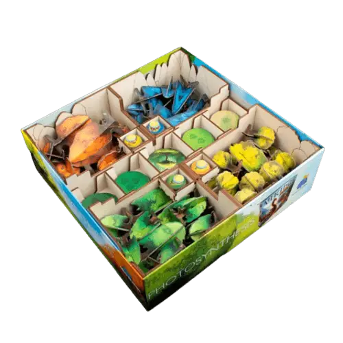 Inlay: Photosynthesis