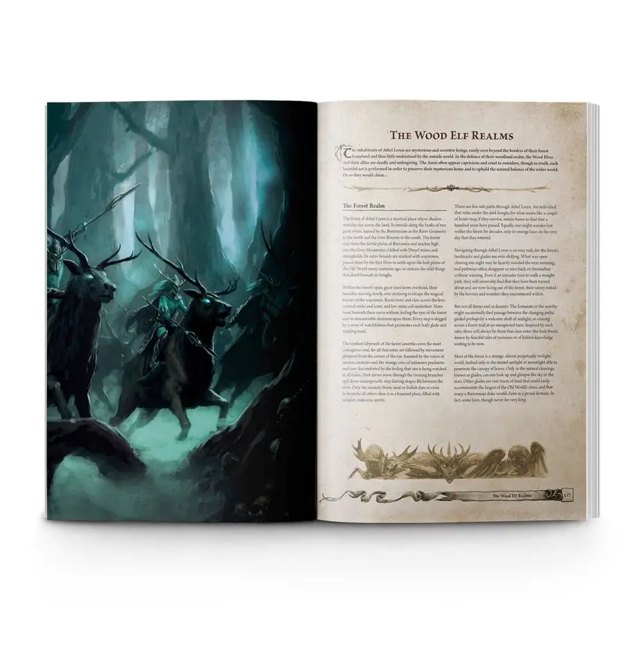 Warhammer Old World: Forces of Fantasy (EN) - Image 3