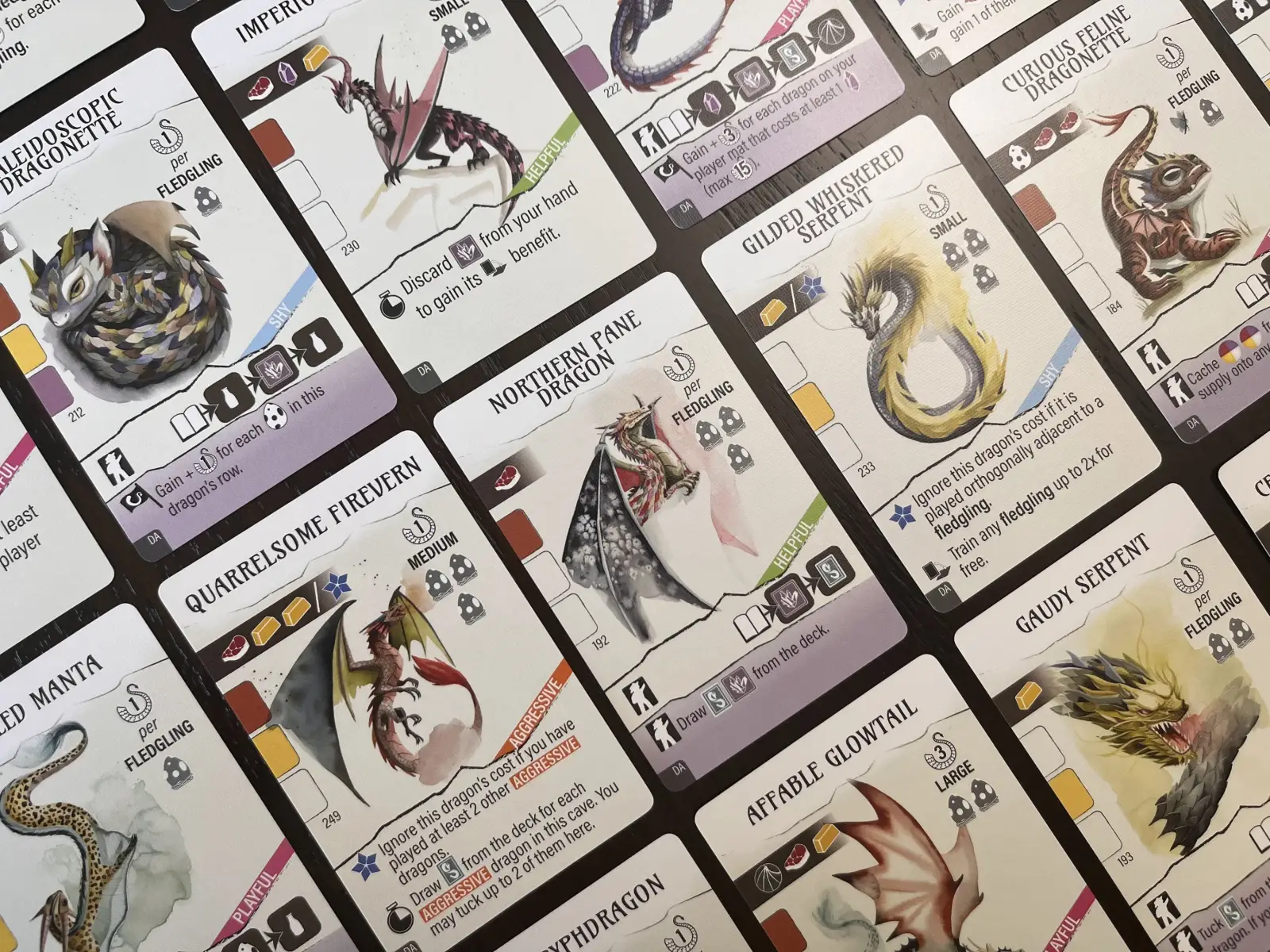 Wyrmspan: Dragon Academy (EN) - Image 4